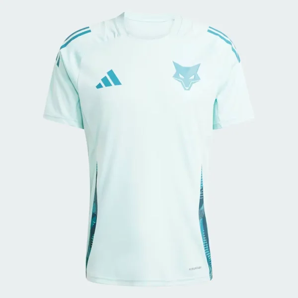 Cruzeiro Treino